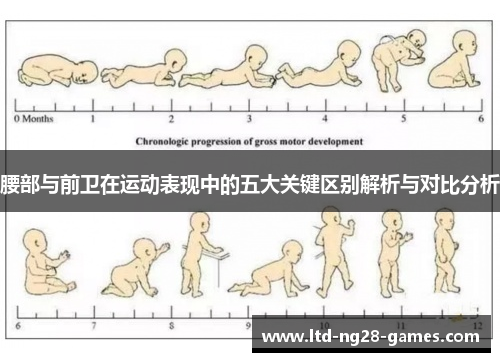 腰部与前卫在运动表现中的五大关键区别解析与对比分析
