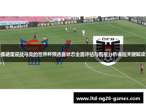 佩德里迎战马竞的世界杯预选赛状态全面评估与前景分析表现关键解读